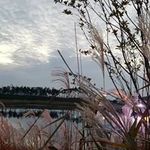 Benjamin Shin - @benjamin.shin - Instagram