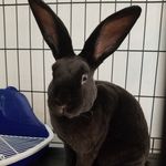 Benjamin Shirley - @docshirley - Instagram