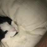 Benjamin Shoemaker - @pwdrshoe - Instagram