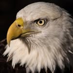 Benjamin Shum - @prben77 - Instagram
