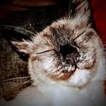 Benjamin - @benjaminsilvasantos682 - Instagram