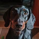 Benjamin R. Silverwood - @benjamin_silverwood - Instagram