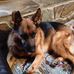 Benjamin Simonson - Facebook