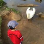 Benjamin Simpkins - @benjamin_sfl - Instagram
