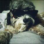 Benjamin Sirota - @benjiesirota - Instagram