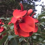 benjamin sisko - @bensisko77 - Instagram