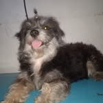 Benjamin Sison - @benjamin.sison.9277 - Instagram