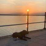 Benjamin Skidmore - @benjaminthe_lab - Instagram