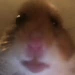 BenjaminSlayer - @benjaminslayer1 - Instagram
