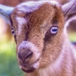 Benjamin Smith - @benjaminsmithers - Instagram