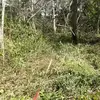 Benjamin Soliz - @benjamin.soliz2 - TikTok
