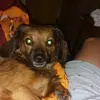 Benjamin Soria - @benjamin.soria - TikTok