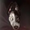 Benjamin Soucy - @benjaminsoucy - TikTok