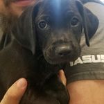 Benjamin Sparks - @redneck_ben911 - Instagram