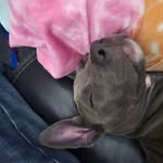 Benjamin Spaulding - @benjamin.spaulding.961 - Instagram