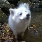 Benjamin Spence - @go_to_bed_ranger_red - Instagram