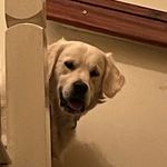 Benjamin Spence - @benjamin_spenceee - Instagram