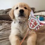 Benjamin Sprague - @benjamin.sprague13 - Instagram