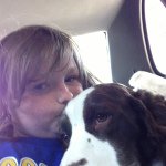 Benjamin - @benjamin_the_springer - Instagram