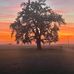 Ben Stadler - Facebook