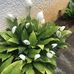 Benjamine Stalder - Facebook
