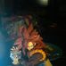 Benjamin Staley - Facebook