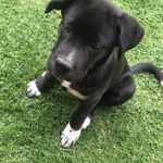 Benjamín Stange - @benjastange - Instagram