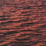 Benjamin Starling - @benjamin_starling - Instagram