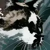 DrGamer4Real - @benjaminstarnes0 - TikTok