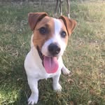 Benjamin Starr - @benny_oliver_starr - Instagram