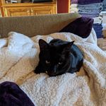 Benjamin Steel - @steel_benjamin - Instagram