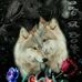 Benjamin Steinbach - Facebook