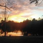Benjamin Stepp - @benjamin.stepp.5 - Instagram