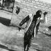 Benjamin Steward Chabinga - Facebook