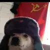 Benjamin Stinson - @benjamin.stinson - TikTok