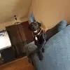 benjaminstocke - @benjamin.stocke - TikTok
