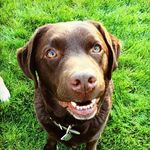 Benjamin Stocker - @ben.stocker12 - Instagram