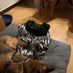 Benjamin stricker - @beni_stricker - Instagram