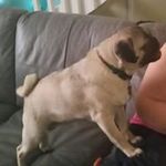 Benjamin Strickland - @destinyhero1 - Instagram