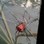 Benjamín Strobel - @rayns.i - Instagram