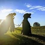 Benjamin Sturm - @sturm.benjamin - Instagram