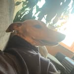 Benjamin Sundquist - @sundquistbenjamin - Instagram
