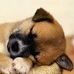 Benjamin Sunday - Facebook