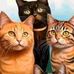 Benjamin Zira - Facebook