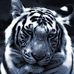 Ben Sutphin - Facebook