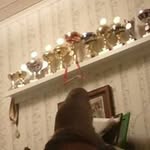Benjamin Svensson - @svenssonbenjamin - Instagram