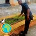 Benjamin Sabo - Facebook