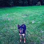 Benjamin Swales - @benswales05 - Instagram