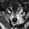 Benjamin Wales - @benjamin4511 - TikTok