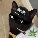 Benjamin Swan - @black_cat_ben - Instagram